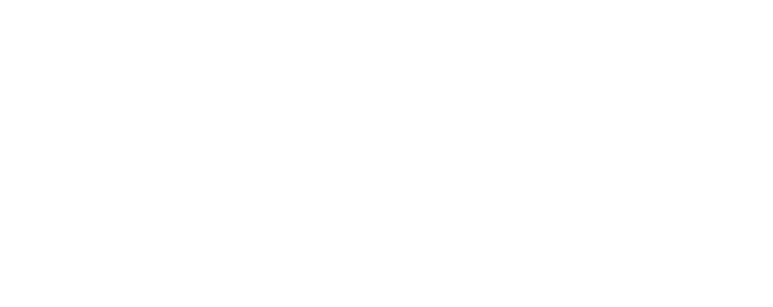 S. Sibiya Consulting